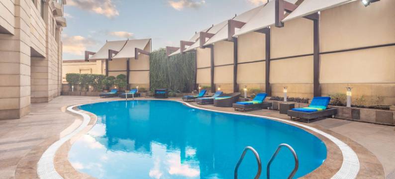 古尔冈市中心索赫纳路丽笙酒店(Radisson Gurugram Sohna Road City Center)图片