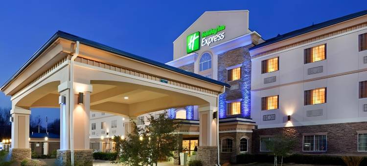 Holiday Inn Express 帕勒斯坦(Holiday Inn Express PALESTINE by IHG)图片