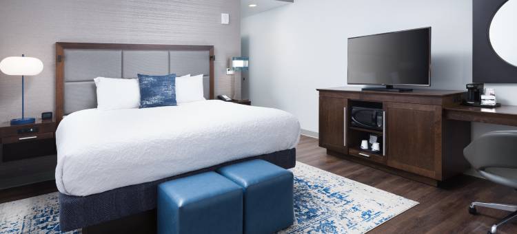 亚特兰大狄卡涂尔艾默里欢朋套房酒店(Hampton Inn & Suites Atlanta  Decatur/Emory)图片