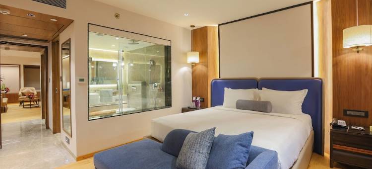 浦那傲世酒店(Pride Premier Pune)图片