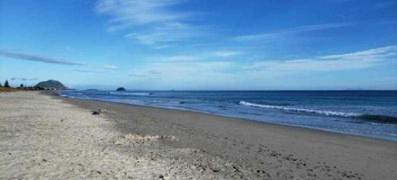 景园旅馆(Garden Court Motel & Backpackers)图片