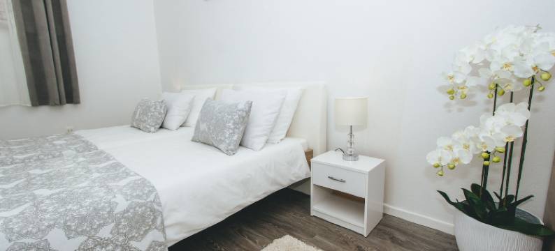 格罗博青年旅舍(Hostel Globo)图片