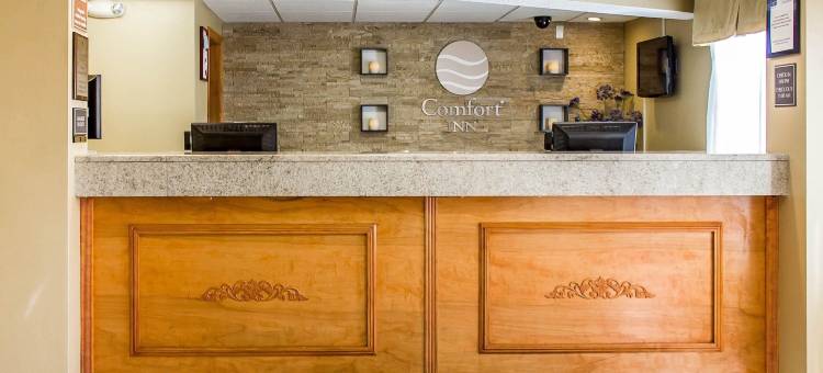 韦瑟斯菲尔德哈特福德舒适酒店(Comfort Inn Wethersfield - Hartford)图片