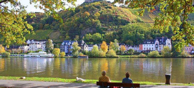 泰昂维中心公园酒店(Hôtel du Parc Thionville Centre)图片