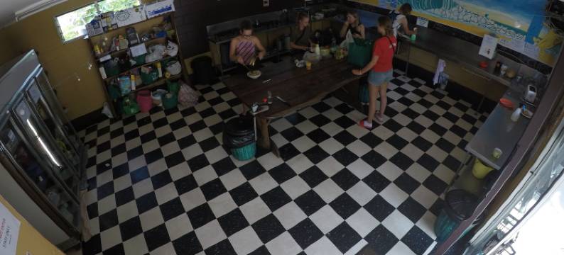 酷香蕉背包客旅馆(Cool Bananas Backpackers)图片