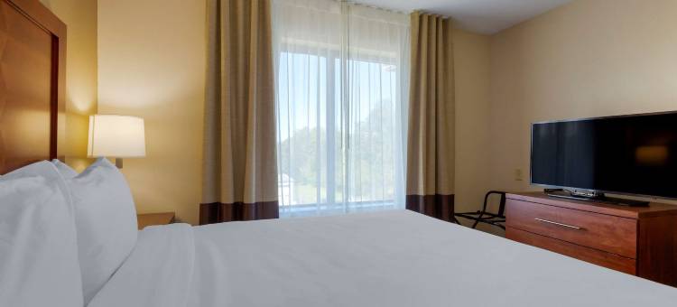 剑桥套房舒适酒店(Comfort Inn & Suites Cambridge)图片