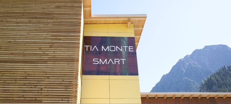 泰亚智能自然酒店(Hotel TIA Smart Natur)图片