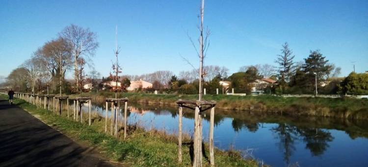 运河宅邸酒店(Maison du Canal)图片