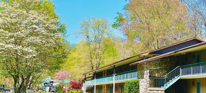 河畔新发现小屋(Newfound Lodge on the river)图片