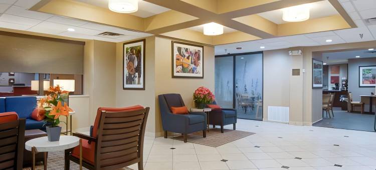 大学附近阿达品质酒店(Quality Inn Ada near University)图片