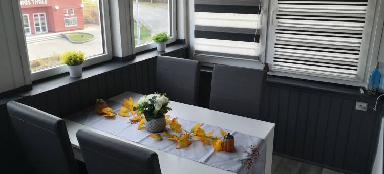 爱丽丝别墅酒店(Hotel Villa Alice)图片