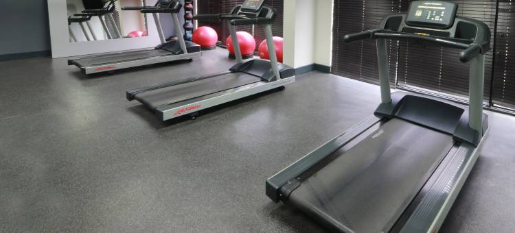 蒙特雷机场希尔顿欢朋酒店(Hampton Inn by Hilton Monterrey-Airport)图片