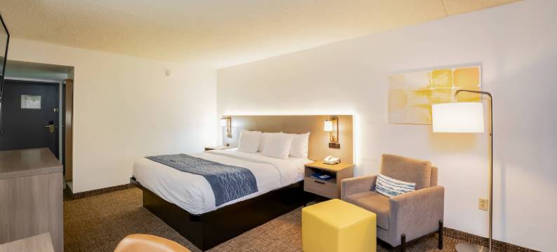 新墨西哥拉斯维加斯舒适酒店(Comfort Inn Las Vegas New Mexico)图片