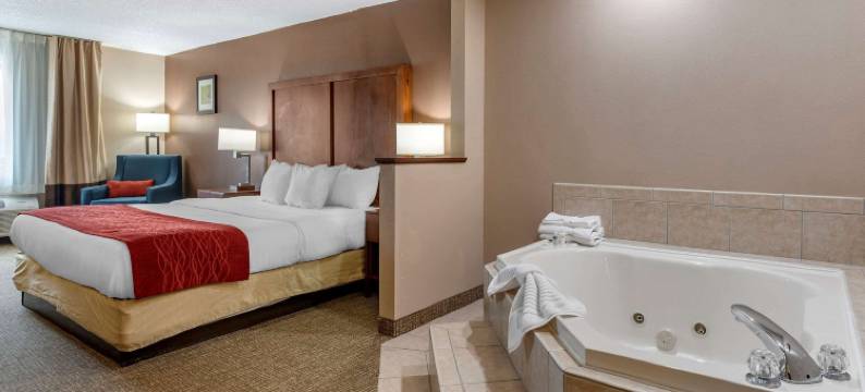 劳伦斯堡舒适酒店(Comfort Inn & Suites)图片