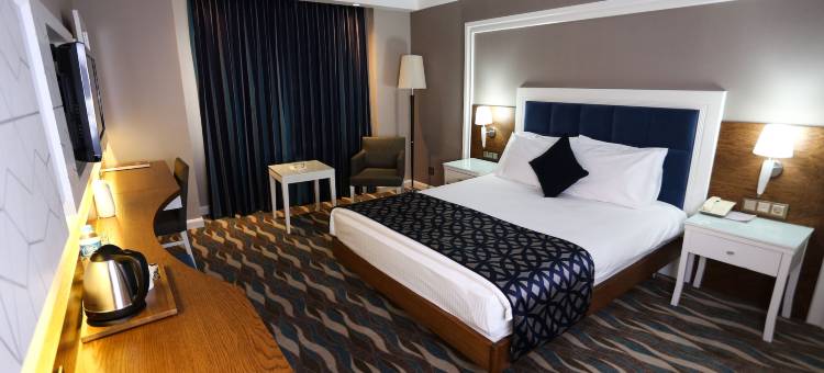 锡瓦斯比于克酒店(Sivas Buyuk Hotel)图片