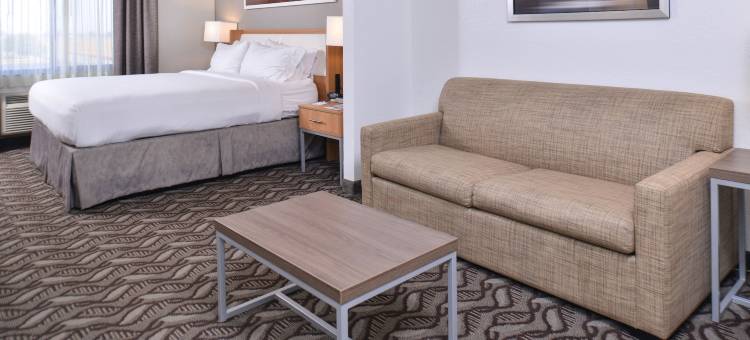 洛诺克I-40智选假日套房酒店(Holiday Inn Express & Suites Lonoke I-40 (Exit 175))图片