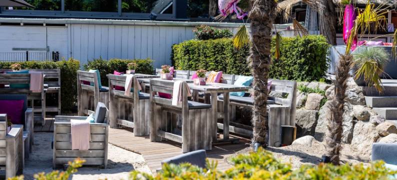 火烈鸟(The Flamingo)图片