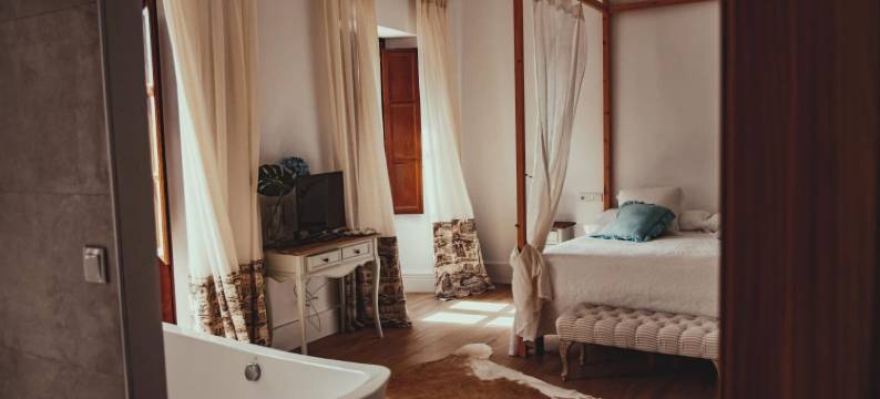 卢斯阿尔莫纳斯特酒店(Hotel Luz Almonaster)图片