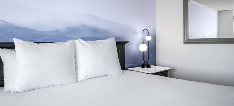 康瑟尔布拉夫斯哈拉斯酒店 - 凯撒奖励目的地(Harrah's Council Bluffs  – A Caesars Rewards Destination)图片