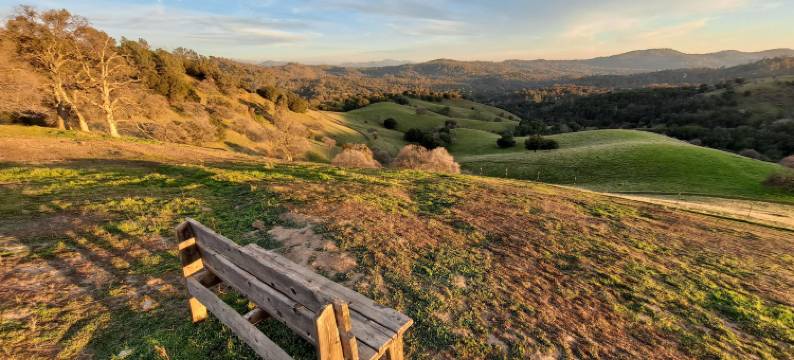 约塞米蒂野生天堂豪华露营(Wildhaven Yosemite Glamping)图片