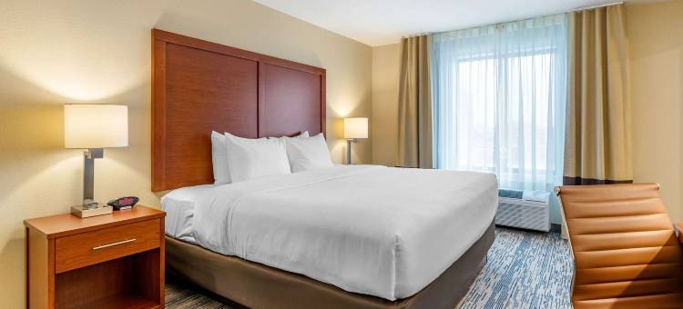 西德梅茵舒适套房酒店(Comfort Inn & Suites West des Moines)图片