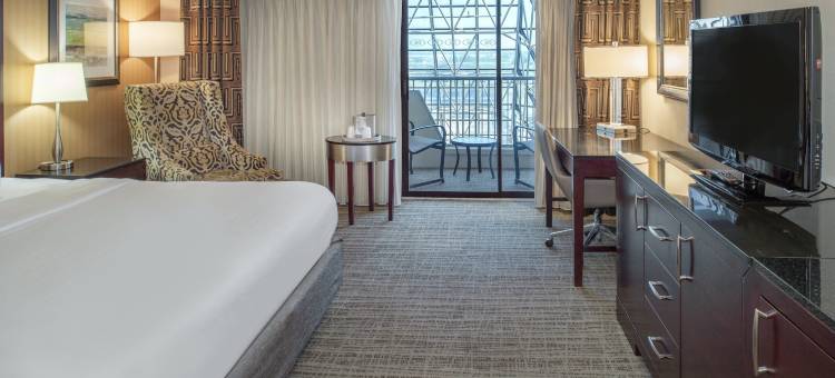 圣路易斯机场皇冠假日酒店(Crowne Plaza ST. Louis Airport)图片