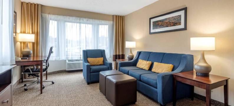 蒙特佩利尔柏林舒适套房酒店(Comfort Inn & Suites Montpelier-Berlin)图片