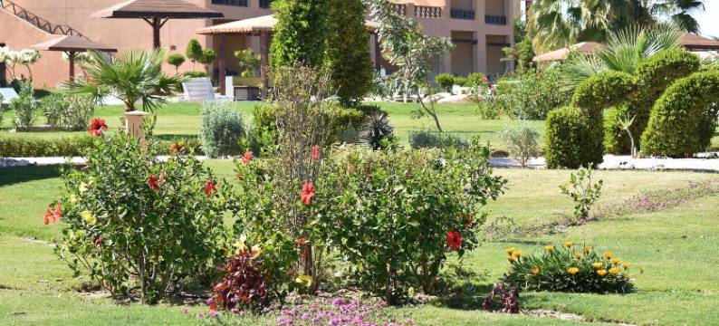 瓦迪拉米海岸度假村(Wadi Lahmy Azur Resort - Soft All-Inclusive)图片