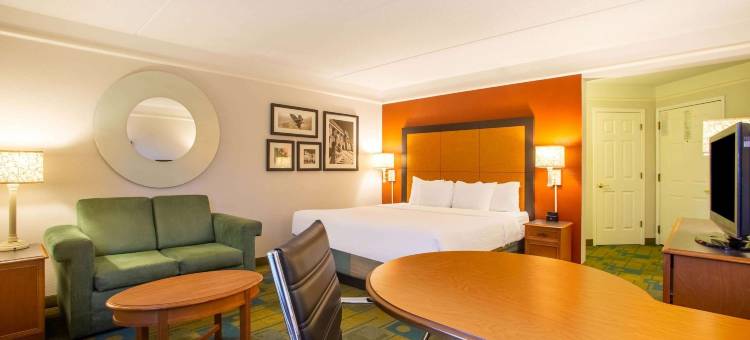 夏洛特机场南拉昆塔温德姆套房酒店(La Quinta Inn & Suites by Wyndham Charlotte Airport South)图片