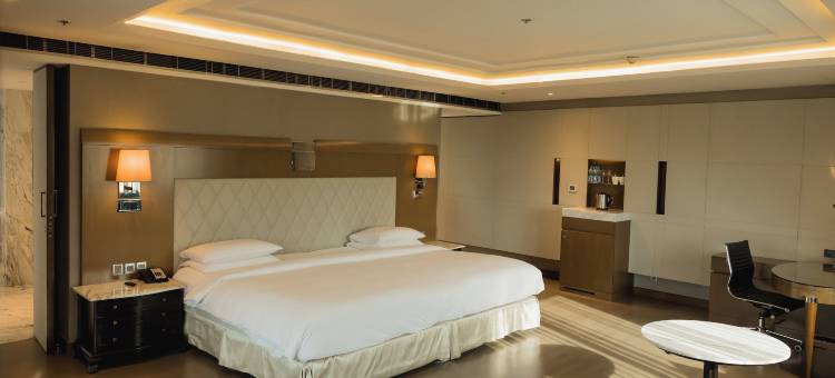 卢迪亚纳凯悦酒店(Hyatt Regency Ludhiana)图片