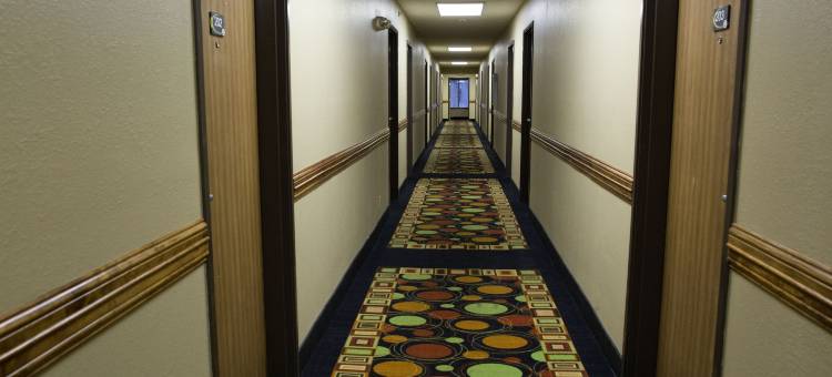 伊克诺旅馆(Econo Lodge Canton North)图片