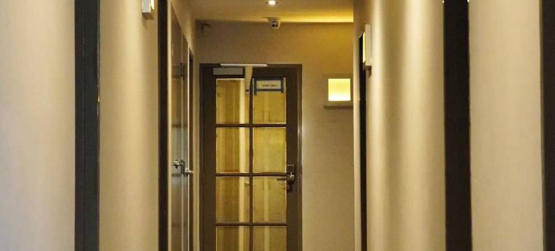 墨尔本维沃(Melbourne ViVo)图片