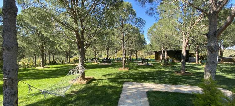 Elyada 宾馆 (+8 岁)(Elyada Otel ve Bağ Evi 8 Yaş Üstü)图片