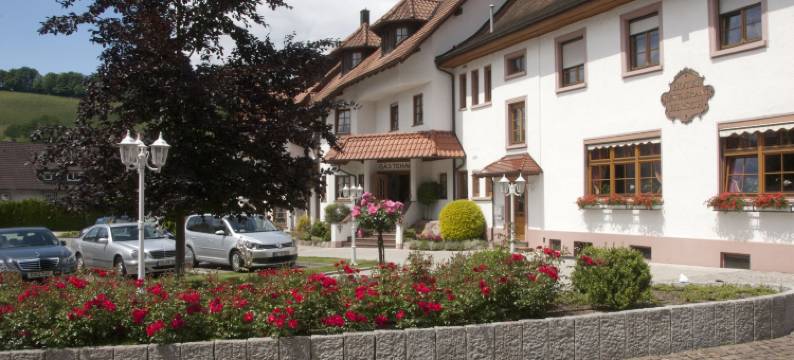 赫希酒店及餐厅(Hotel-Restaurant Hirsch)图片