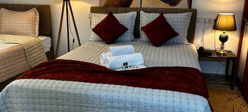 STARMAX CITY HOTEL'S 雅洛瓦(STARMAX CİTY HOTEL'S)图片