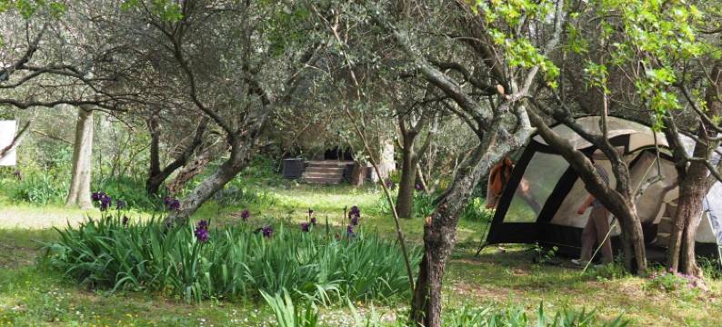 青年旅舍HI尼梅(Auberge de Jeunesse HI Nîmes)图片