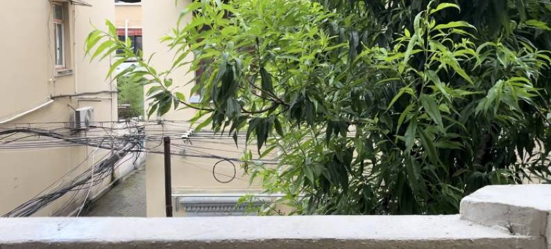 EchoZ特色民宿(淮海中路分店)图片