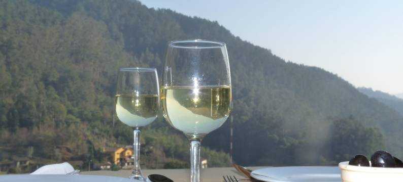 阿德莱德酒店(Adelaide Hotel)图片