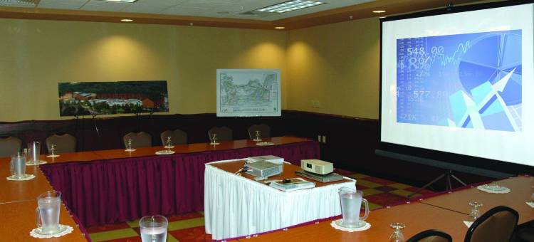 史莫奇斯野外石丘小屋酒店(Wilderness at the Smokies - Stone Hill Lodge)图片