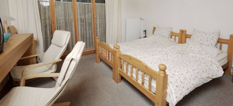 瓦里赛尔桑尼餐厅酒店(Hotel Restaurant Walliser Sonne)图片