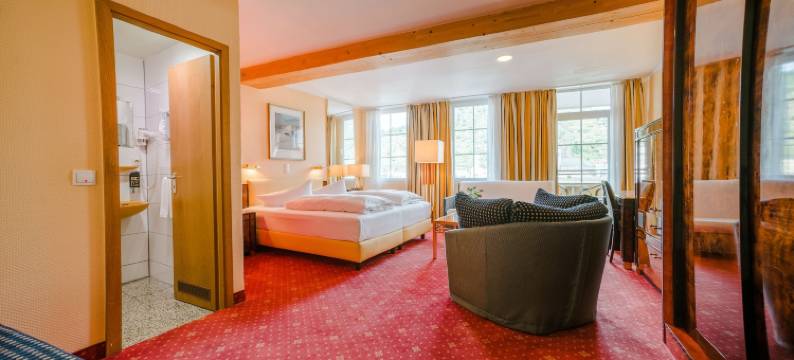 莱茵岩古堡酒店(Hotel Rheinfels - Radfahrer Willkommen)图片