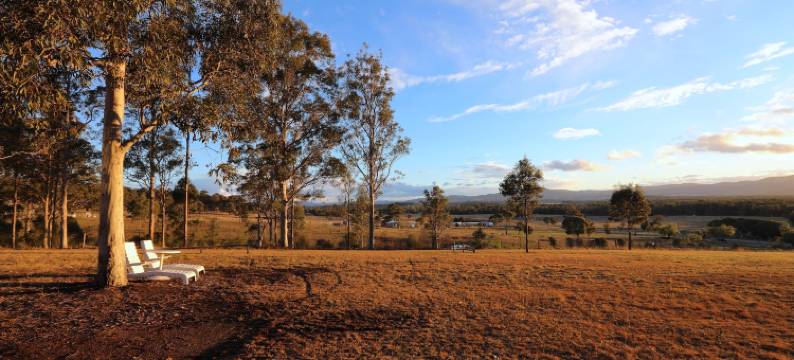 葡萄园山度假村(Vineyard Hill)图片