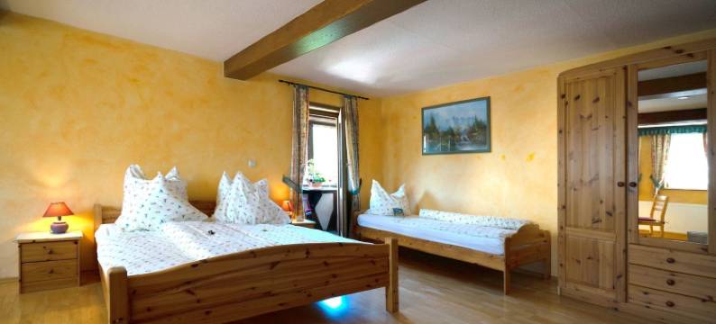 兰德加斯霍夫斯特恩酒店(Landgasthof Zum Stern Wasserkuppe Rhön)图片