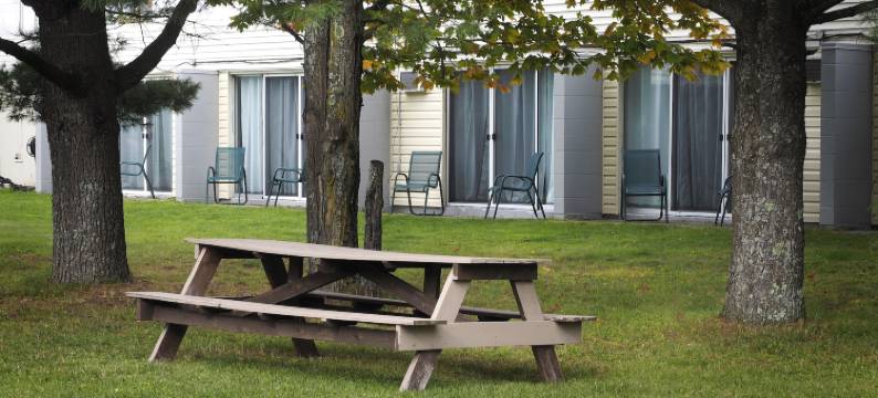 阿姆巴萨德汽车旅馆(Ambassador Motel)图片