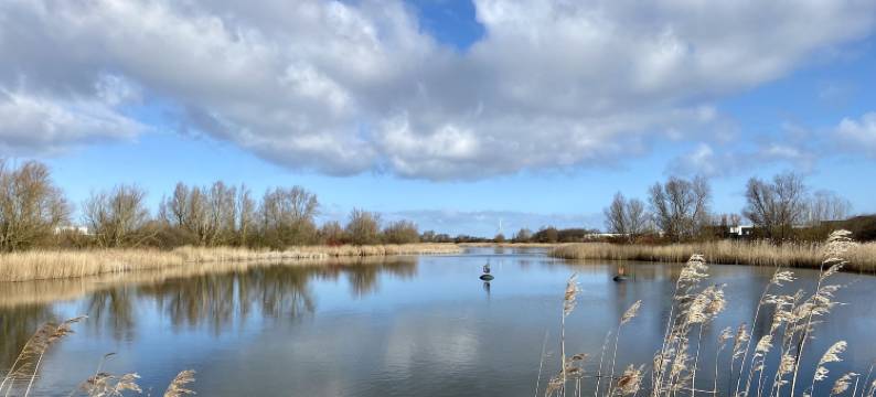 咖瑞基恩民宿旅馆(Logement Garjen)图片