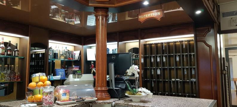 海豚酒店(Hotel le Dauphin)图片