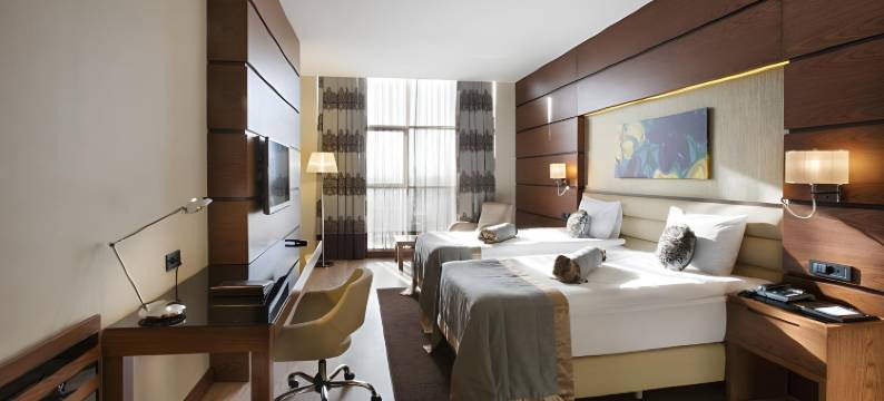 埃尔比勒市中心德德曼酒店(Dedeman Erbil Hotel City Center)图片