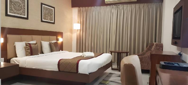 阿尔特鲁斯特酒店纳维孟买-1(The Altruist Business Hotel Navi Mumbai-1)图片