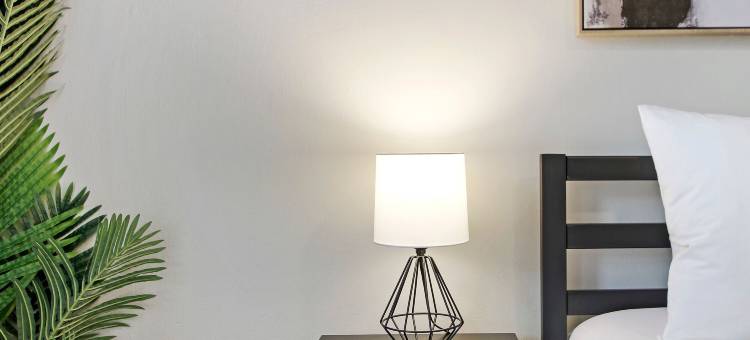 埃文斯顿的可爱一卧室 - 埃尔姆伍德105(Lovely 1Br Apt in Evanston - Elmwood 105)图片