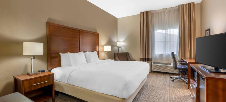 舒适酒店(Comfort Inn I-20 Midland Stanton)图片